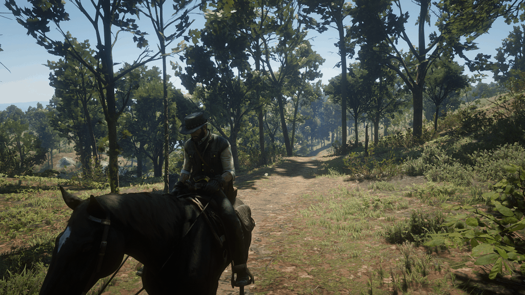 Red Dead Redemption 2 Best settings for RX 580 Red Dead Redemption