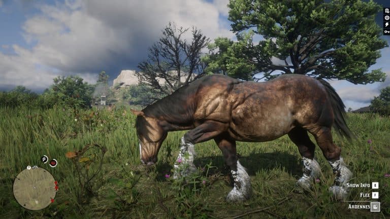 how to change your horse in red dead redemption 2 online
