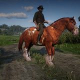 Ardennes - Red Dead Redemption 2 Mod