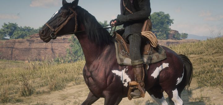 Models, Textures - Red Dead Redemption 2 Models, Textures Mods | RDR2 ...