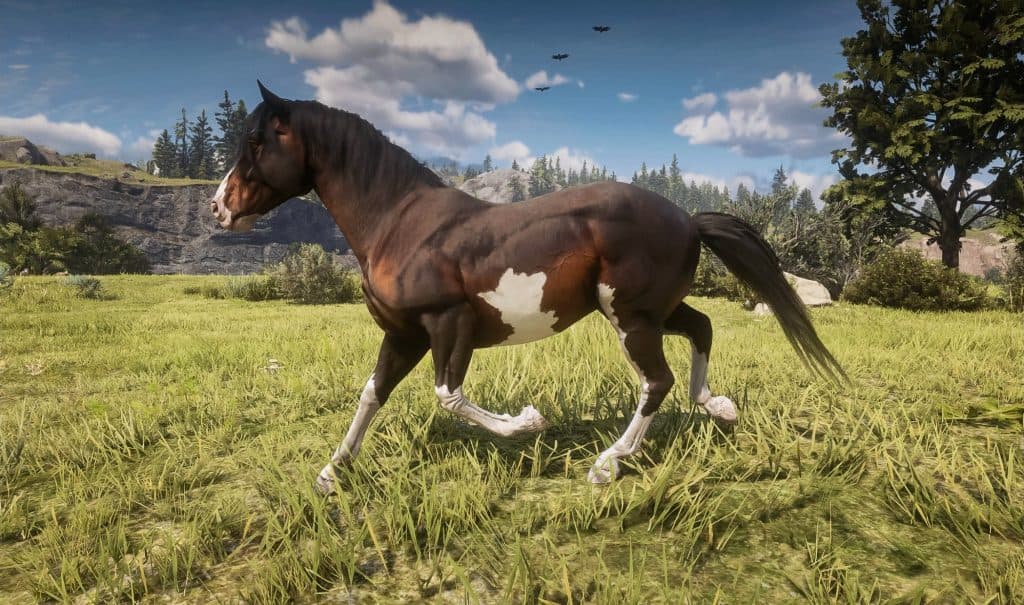 RDR2 Horse Texture ytd Resource Guide Red Dead Redemption 2 Mod