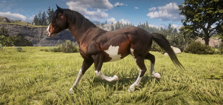 Models, Textures - Red Dead Redemption 2 Models, Textures Mods | RDR2 ...