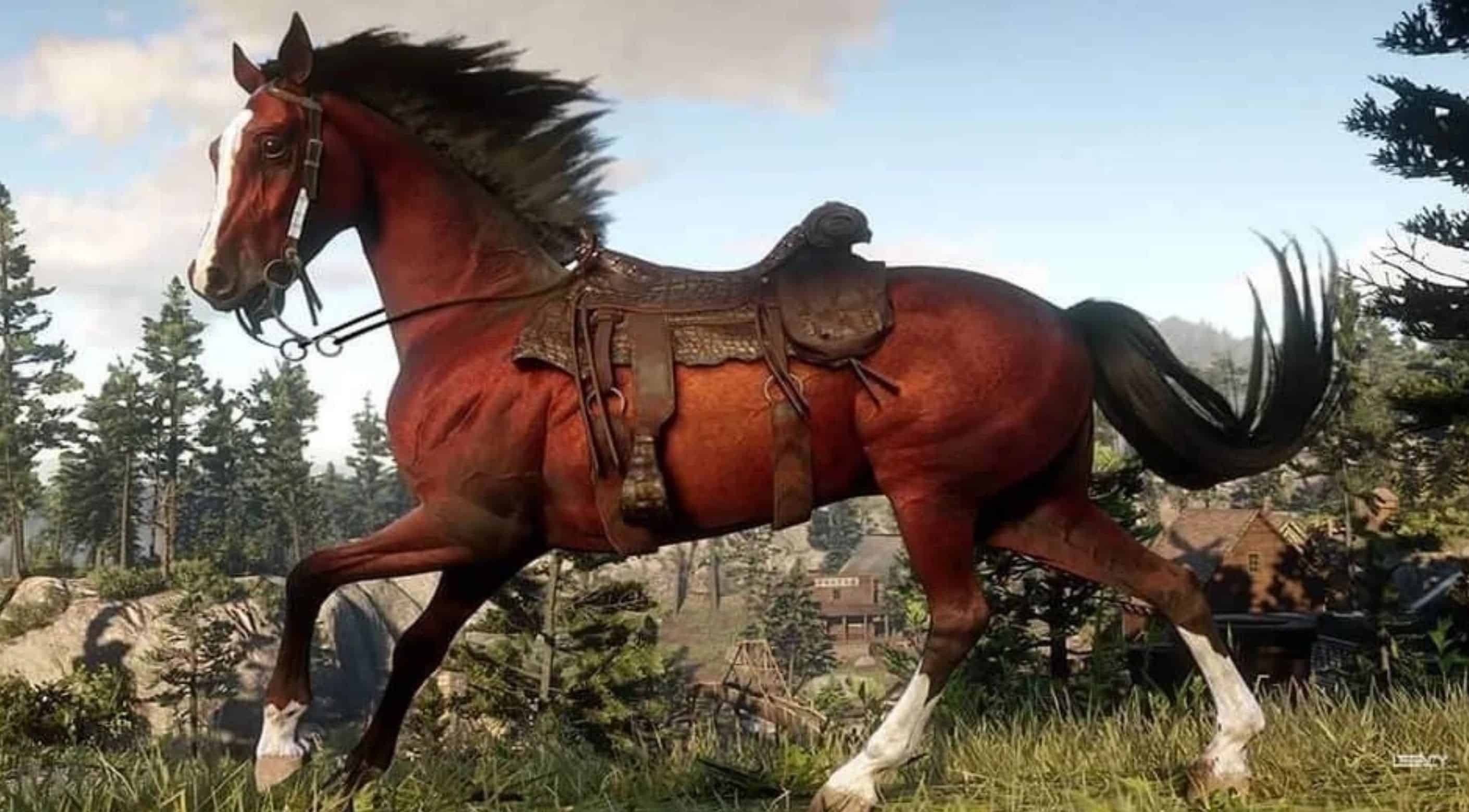 Мустанг рдр. Red Dead Redemption 2 кони. Red Dead Redemption 2 арабская лошадь. Red Dead Redemption 2 лошади. Лошади в ред деад редемптион 2.